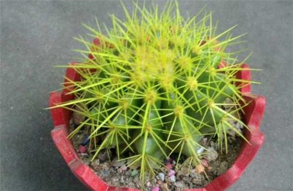 土壤溫度測(cè)量?jī)x有哪些更好的原理和技術(shù)？
