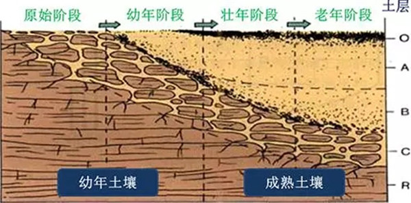 土壤養分檢測儀工作原理、技術和方法